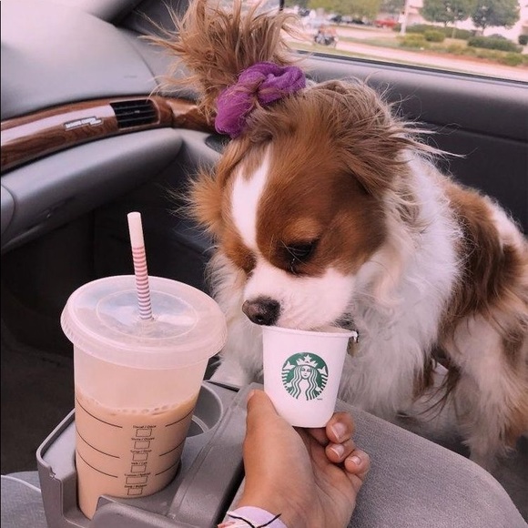 Meet your Posher, Vanessa - Picture 1 of 1